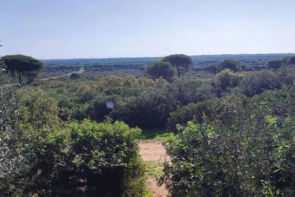 Bamboo & Golf House Villa Campano  Spain